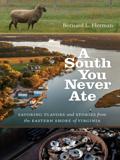 Title details for A South You Never Ate by Bernard L. Herman - Available